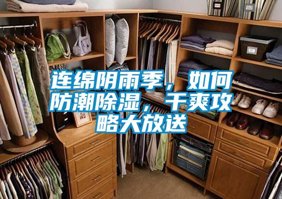 連綿陰雨季，如何防潮除濕，干爽攻略大放送