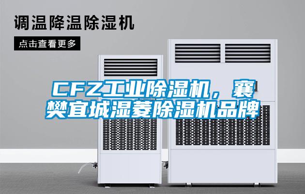 CFZ工業(yè)除濕機(jī)，襄樊宜城濕菱除濕機(jī)品牌