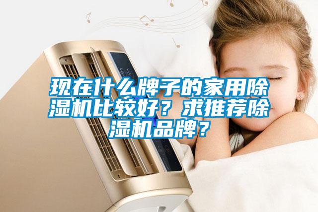 現(xiàn)在什么牌子的家用除濕機(jī)比較好？求推薦除濕機(jī)品牌？