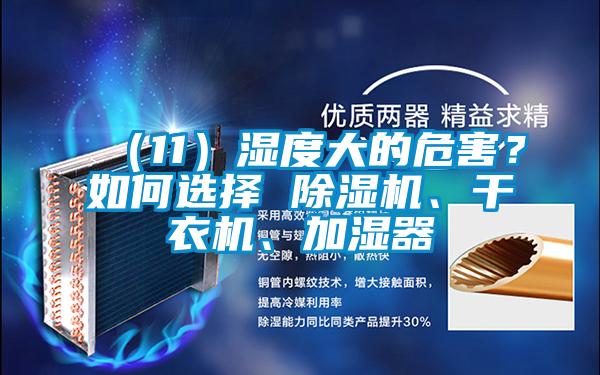 （11）濕度大的危害？如何選擇 除濕機、干衣機、加濕器