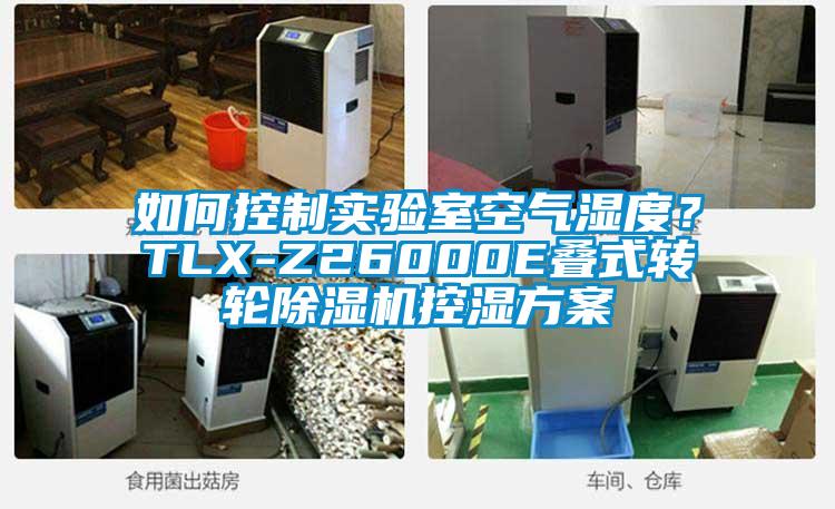 如何控制實驗室空氣濕度？TLX-Z26000E疊式轉(zhuǎn)輪除濕機控濕方案