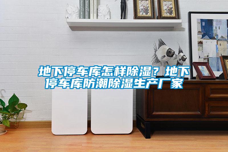 地下停車庫怎樣除濕？地下停車庫防潮除濕生產(chǎn)廠家