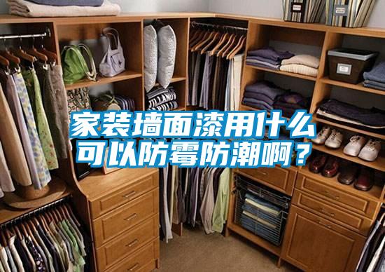 家裝墻面漆用什么可以防霉防潮??？