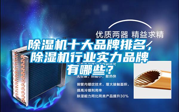 除濕機十大品牌排名，除濕機行業(yè)實力品牌有哪些？