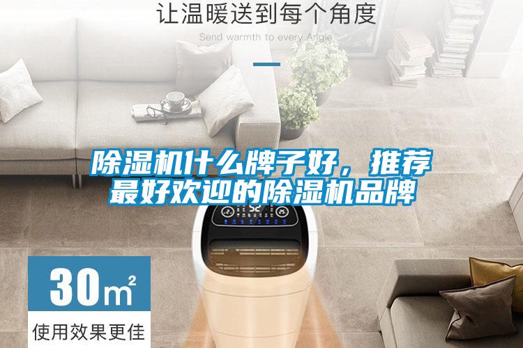 除濕機(jī)什么牌子好，推薦最好歡迎的除濕機(jī)品牌