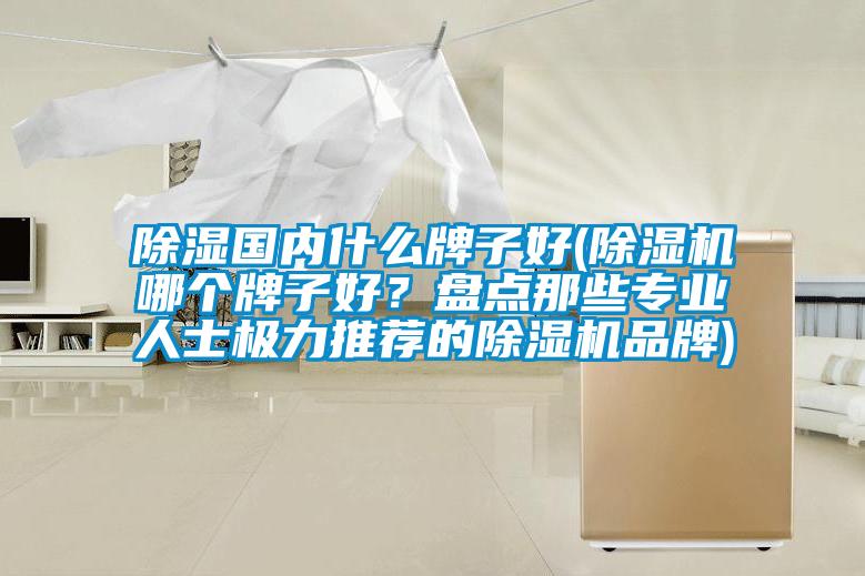 除濕國內(nèi)什么牌子好(除濕機(jī)哪個(gè)牌子好？盤點(diǎn)那些專業(yè)人士極力推薦的除濕機(jī)品牌)