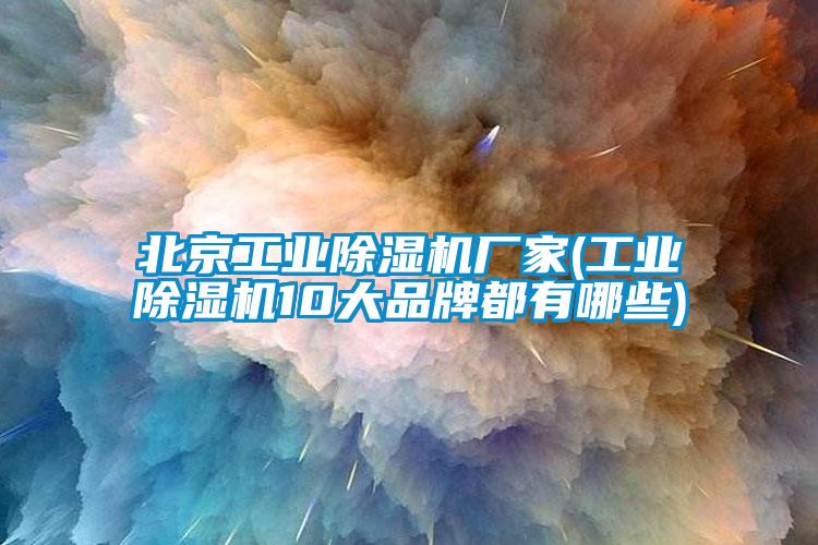 北京工業(yè)除濕機(jī)廠(chǎng)家(工業(yè)除濕機(jī)10大品牌都有哪些)