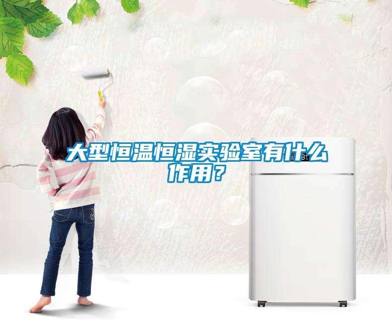 大型恒溫恒濕實(shí)驗(yàn)室有什么作用？
