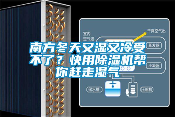 南方冬天又濕又冷受不了？快用除濕機(jī)幫你趕走濕氣