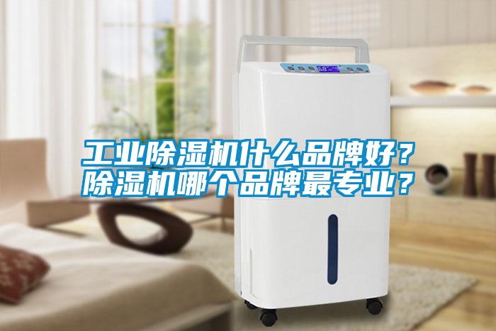 工業(yè)除濕機什么品牌好？除濕機哪個品牌最專業(yè)？