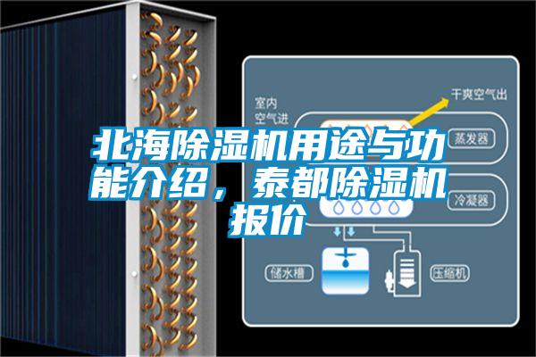 北海除濕機(jī)用途與功能介紹，泰都除濕機(jī)報(bào)價(jià)