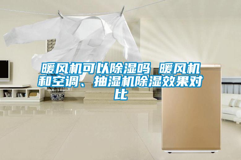 暖風(fēng)機(jī)可以除濕嗎 暖風(fēng)機(jī)和空調(diào)、抽濕機(jī)除濕效果對(duì)比