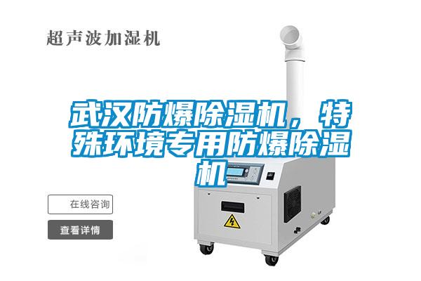 武漢防爆除濕機(jī)，特殊環(huán)境專用防爆除濕機(jī)