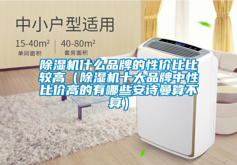 除濕機(jī)什么品牌的性價比比較高（除濕機(jī)十大品牌中性比價高的有哪些安詩曼算不算）