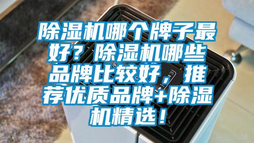 除濕機哪個牌子最好？除濕機哪些品牌比較好，推薦優(yōu)質(zhì)品牌+除濕機精選！