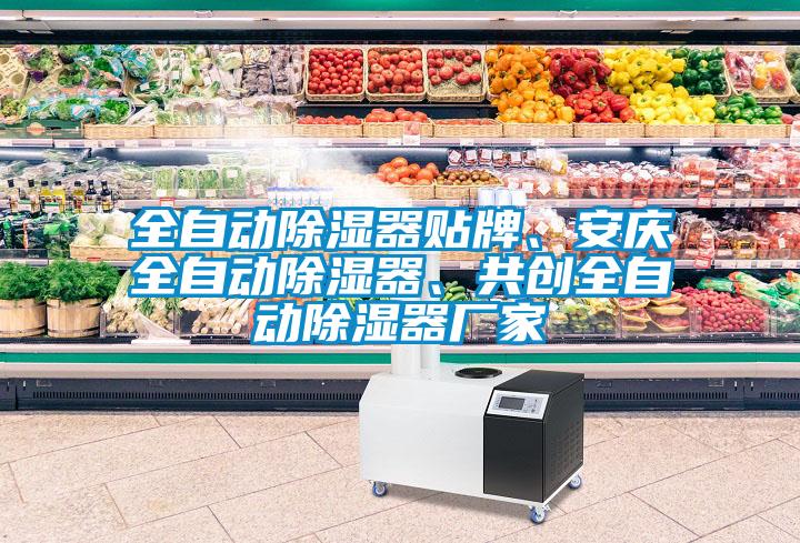 全自動(dòng)除濕器貼牌、安慶全自動(dòng)除濕器、共創(chuàng)全自動(dòng)除濕器廠家