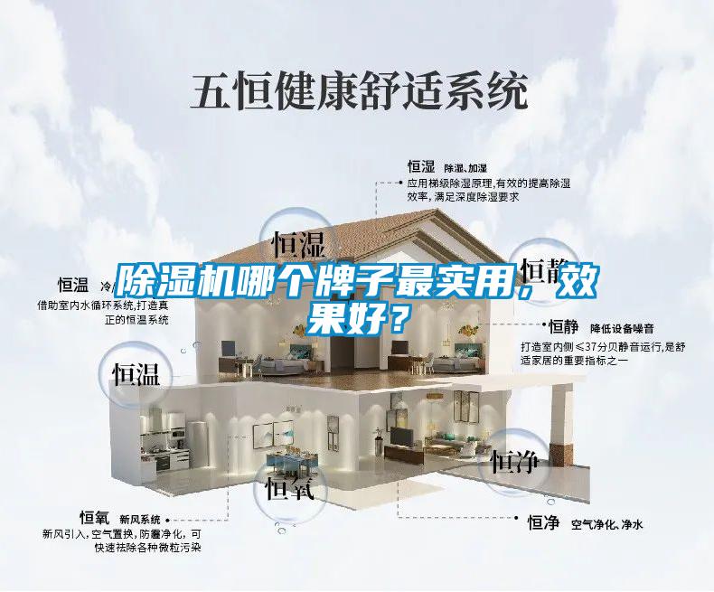 除濕機(jī)哪個(gè)牌子最實(shí)用，效果好？