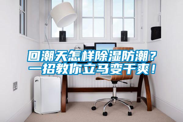 回潮天怎樣除濕防潮？一招教你立馬變干爽！