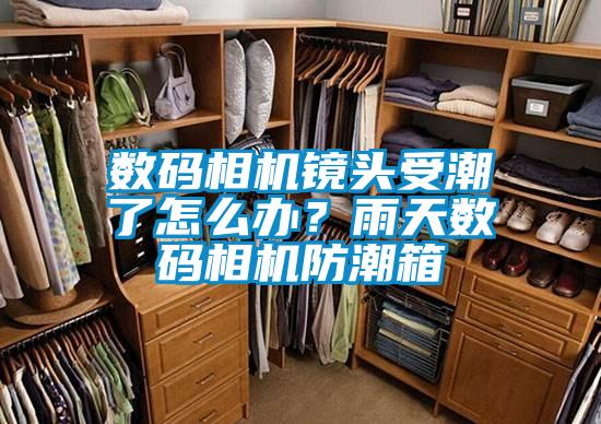 數(shù)碼相機鏡頭受潮了怎么辦？雨天數(shù)碼相機防潮箱