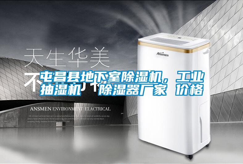 屯昌縣地下室除濕機(jī)，工業(yè)抽濕機(jī)  除濕器廠家 價(jià)格