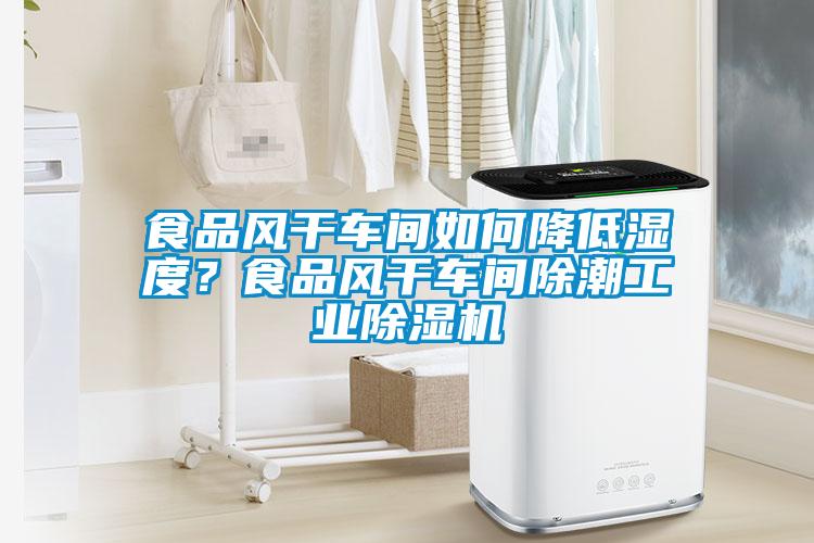 食品風(fēng)干車間如何降低濕度？食品風(fēng)干車間除潮工業(yè)除濕機(jī)