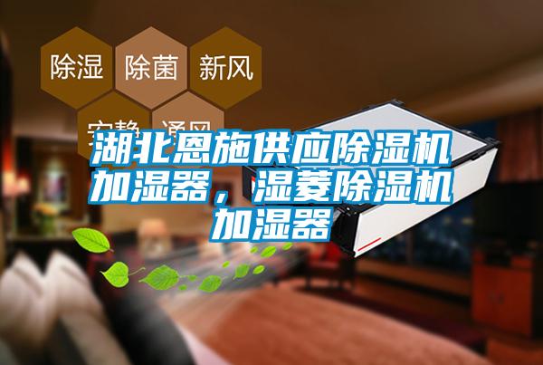 湖北恩施供應(yīng)除濕機(jī)加濕器，濕菱除濕機(jī)加濕器