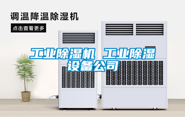 工業(yè)除濕機 工業(yè)除濕設(shè)備公司