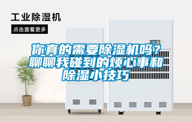 你真的需要除濕機(jī)嗎？聊聊我碰到的煩心事和除濕小技巧