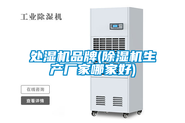 處濕機品牌(除濕機生產(chǎn)廠家哪家好)