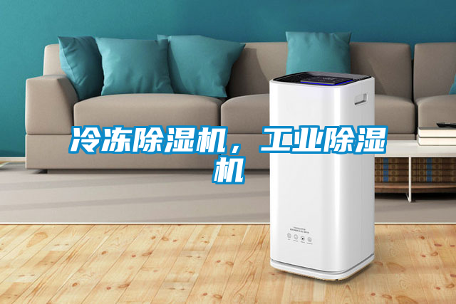 冷凍除濕機，工業(yè)除濕機