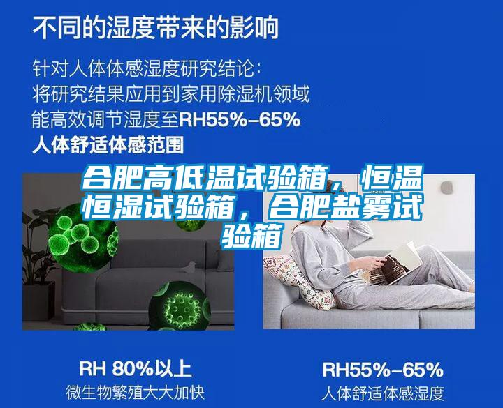 合肥高低溫試驗箱，恒溫恒濕試驗箱，合肥鹽霧試驗箱