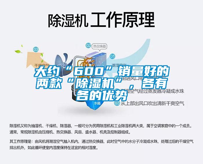大約“600”銷量好的兩款“除濕機(jī)”，各有各的優(yōu)勢(shì)