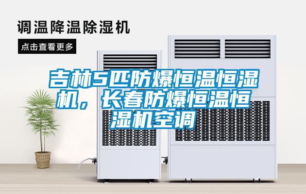 吉林5匹防爆恒溫恒濕機(jī)，長春防爆恒溫恒濕機(jī)空調(diào)