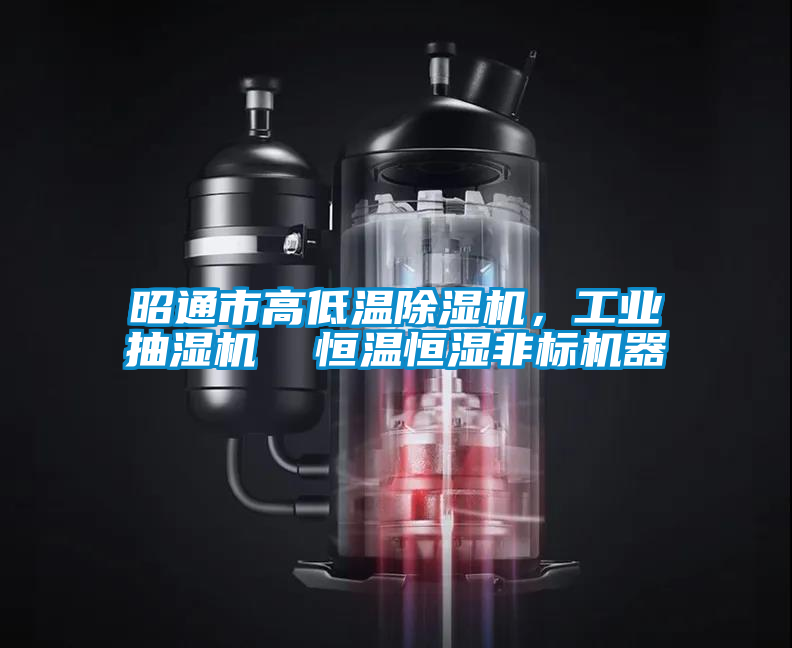 昭通市高低溫除濕機，工業(yè)抽濕機  恒溫恒濕非標機器
