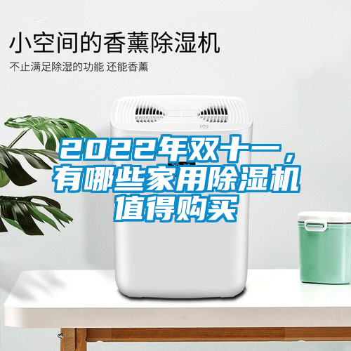2022年雙十一，有哪些家用除濕機(jī)值得購(gòu)買