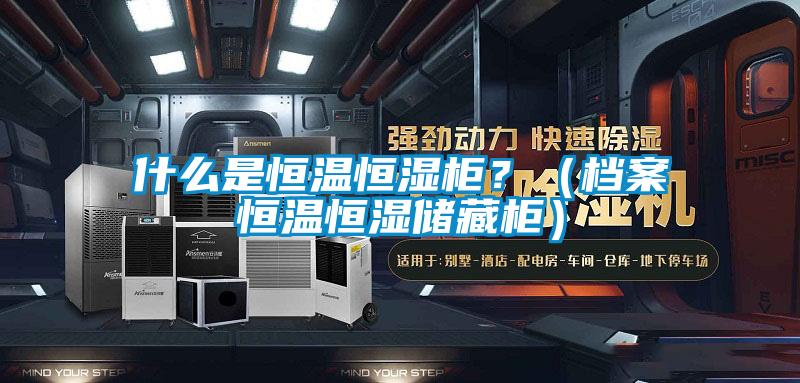 什么是恒溫恒濕柜？（檔案恒溫恒濕儲藏柜）