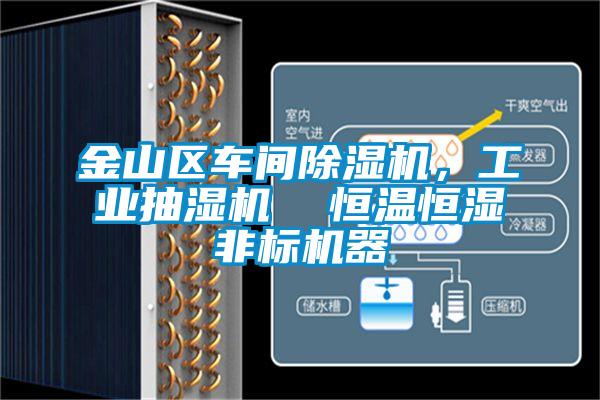 金山區(qū)車(chē)間除濕機(jī)，工業(yè)抽濕機(jī)  恒溫恒濕非標(biāo)機(jī)器