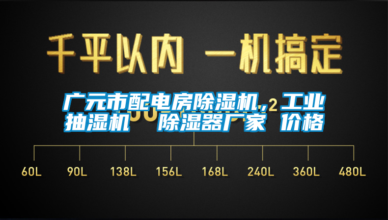 廣元市配電房除濕機，工業(yè)抽濕機  除濕器廠家 價格