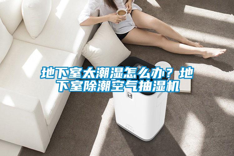 地下室太潮濕怎么辦？地下室除潮空氣抽濕機(jī)