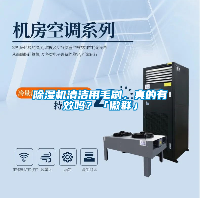 除濕機清潔用毛刷，真的有效嗎？「傲群」