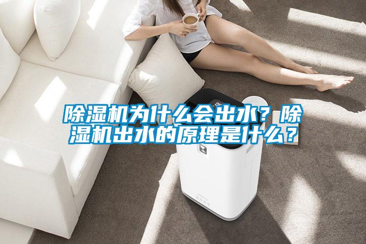除濕機(jī)為什么會出水？除濕機(jī)出水的原理是什么？