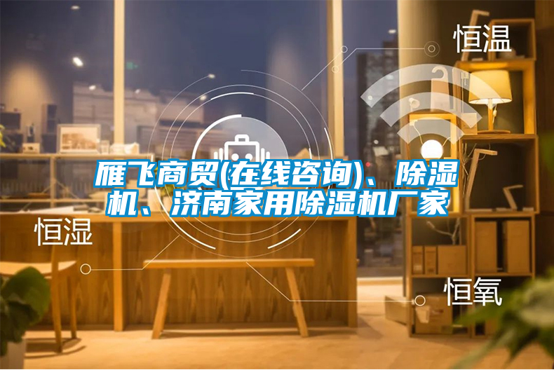 雁飛商貿(mào)(在線咨詢)、除濕機(jī)、濟(jì)南家用除濕機(jī)廠家