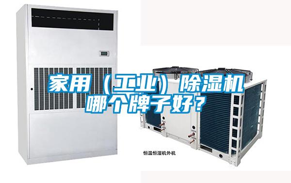 家用（工業(yè)）除濕機(jī)哪個(gè)牌子好？