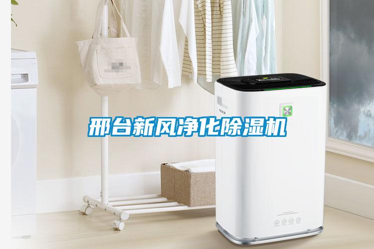 邢臺新風(fēng)凈化除濕機