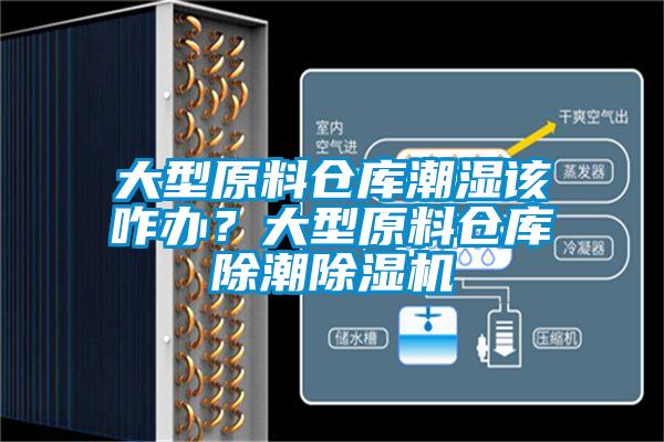 大型原料倉庫潮濕該咋辦？大型原料倉庫除潮除濕機(jī)