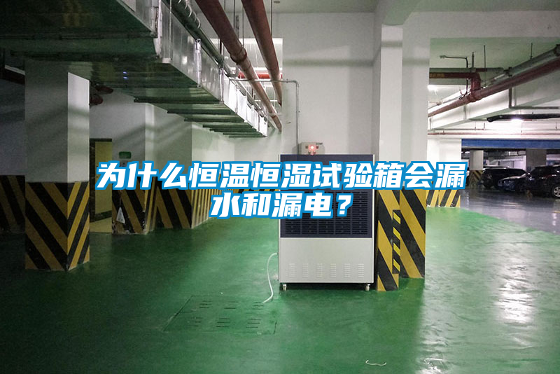 為什么恒溫恒濕試驗(yàn)箱會(huì)漏水和漏電？