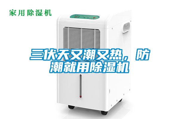 三伏天又潮又熱，防潮就用除濕機(jī)