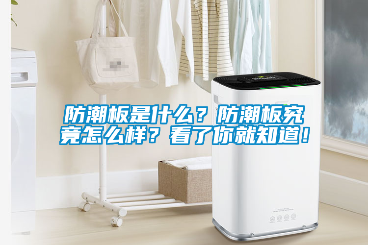 防潮板是什么？防潮板究竟怎么樣？看了你就知道！