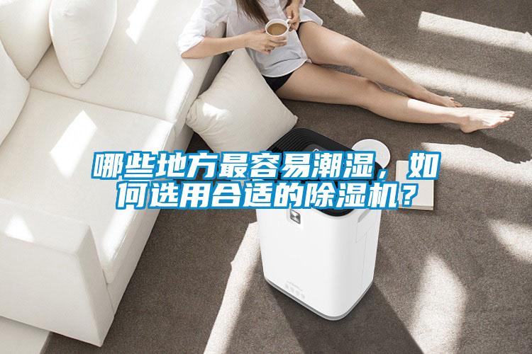 哪些地方最容易潮濕，如何選用合適的除濕機(jī)？