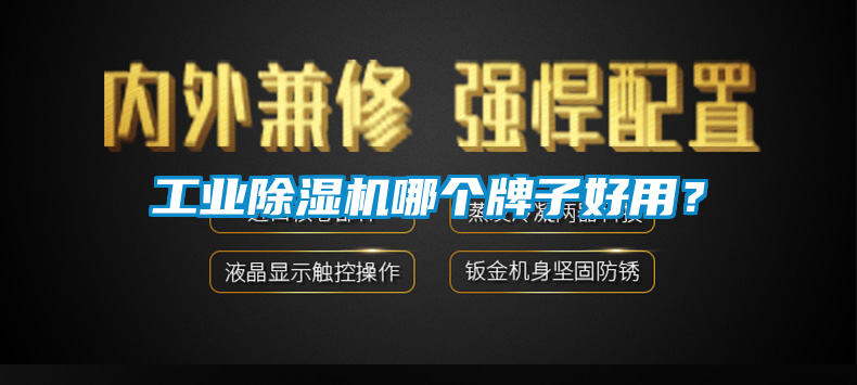 工業(yè)除濕機(jī)哪個牌子好用？